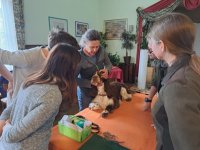 Erste Hilfe für den Hund